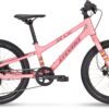 Beat SL Disc 20_Wild Rose_11_5_MY24_even-2