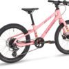 Beat SL Disc 20_Wild Rose_11_5_MY24_rear-2