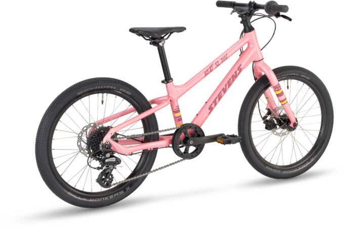 Beat SL Disc 20_Wild Rose_11_5_MY24_rear-2