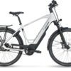 E-Courier Plus HT_Electric Silver_55cm_MY24_even