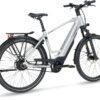 E-Courier Plus HT_Electric Silver_55cm_MY24_rear