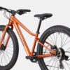 C26_C5202GU_Kids_Trail_Plus_FOR_D5