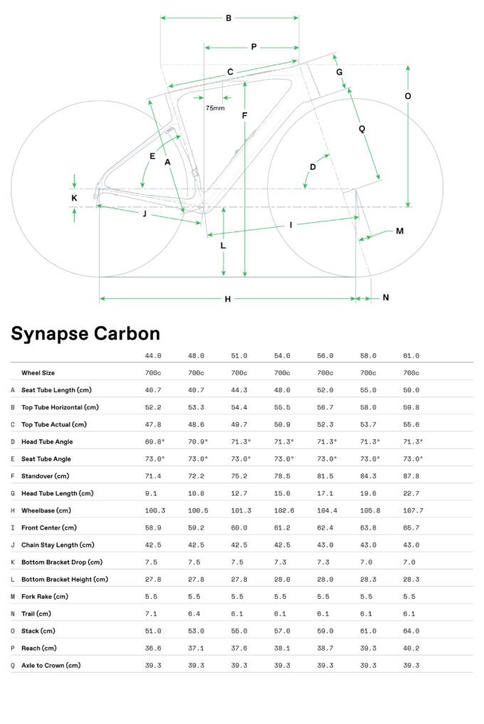 C25_Synapse_GeoTable
