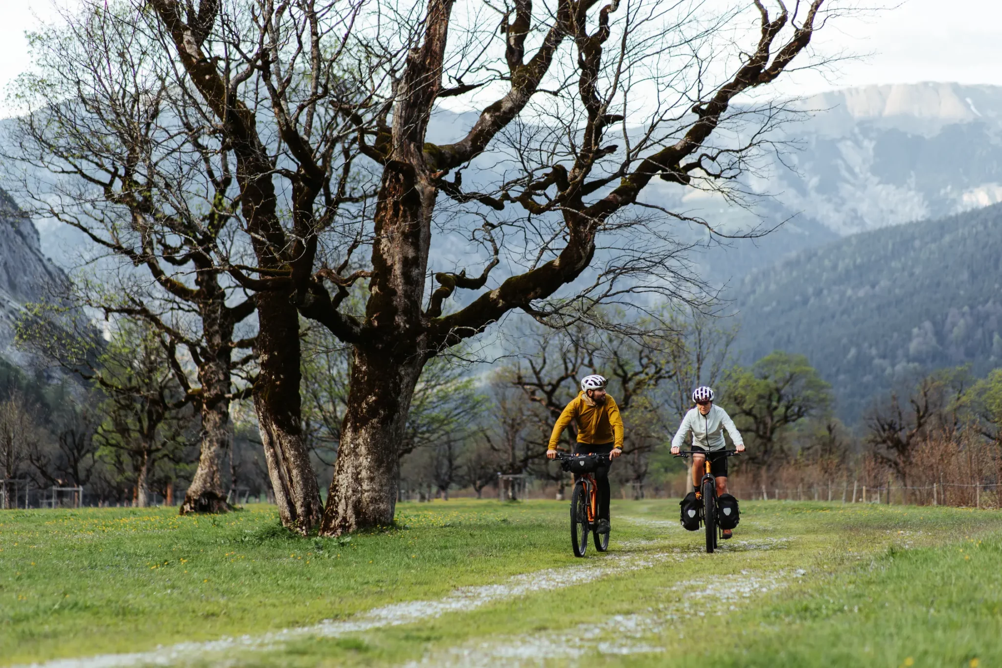 Neu beim Zweiradladen Aurich: Tout Terrain, handgefertigte Reiseräder, Gravelbikes und E-Bikes aus Freiburg